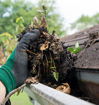 gutter cleaning